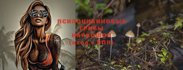 spice Алексин